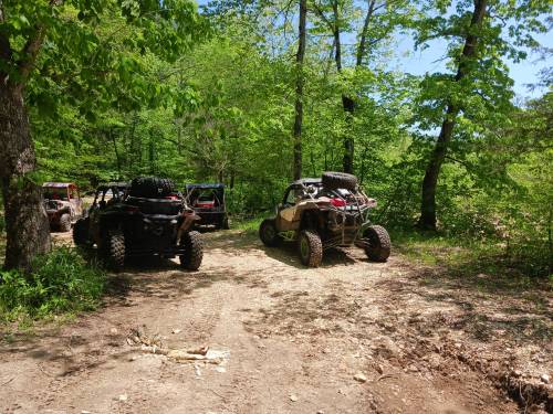 Two off-road vehicles parked on a dirt trail surrounded by lush green trees and foliage.
