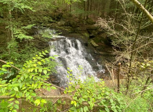 A serene waterfall cascades over rocks, surrounded by lush green trees and foliage in a tranquil forest setting.