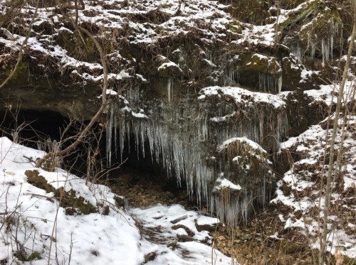 Icicles hang from a rocky overhang, surrounded by snow and bare trees in a winter landscape.
