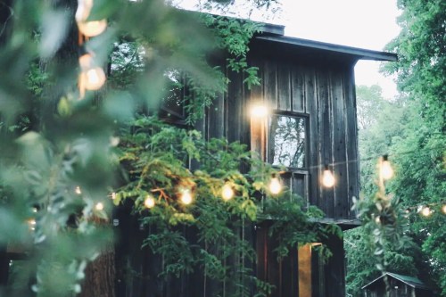 A rustic wooden house surrounded by greenery and string lights, creating a cozy, inviting atmosphere.
