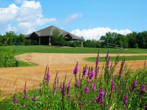 A grassy area with a gravel path, colorful wildflowers in the foreground, and a pavilion under a blue sky in the background.