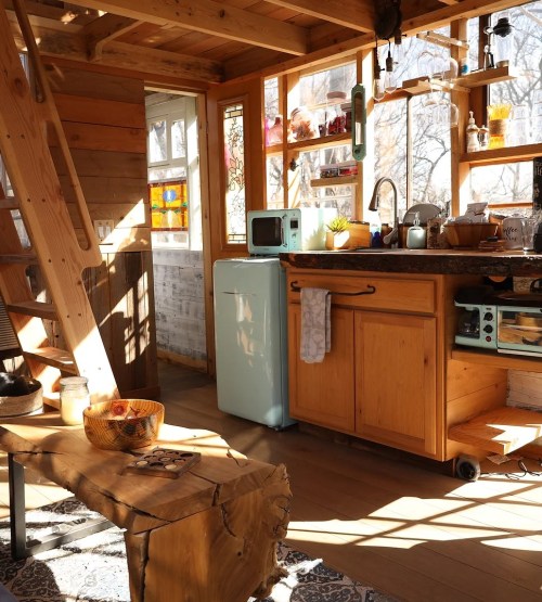 Cozy wooden interior of a small cabin with a vintage fridge, kitchen area, and natural light streaming in.