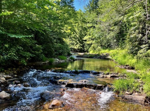 A serene stream flows through a lush green forest, with sunlight filtering through the trees and rocks along the water's edge.