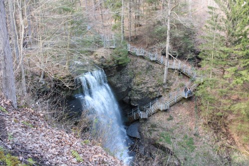 A serene waterfall cascades into a rocky pool, surrounded by trees and a winding wooden walkway.