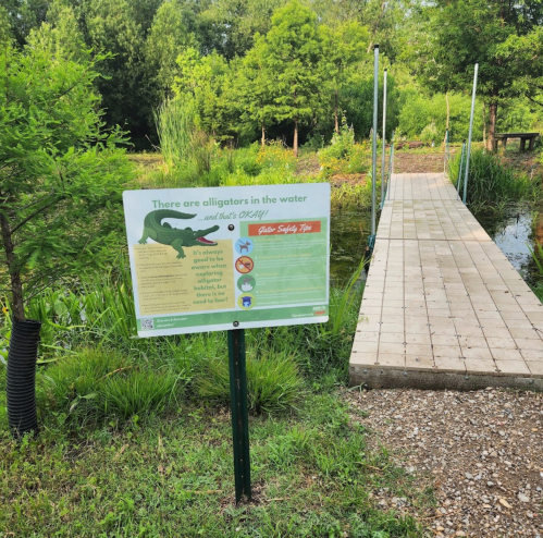 Sign warning about alligators in the water, with a wooden bridge and lush greenery in the background.