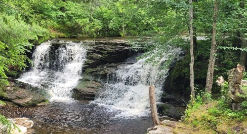A serene waterfall cascades over rocks, surrounded by lush green trees and a calm pool of water below.