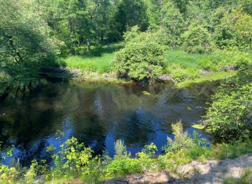 A serene river surrounded by lush greenery and trees, reflecting the blue sky and vibrant foliage.