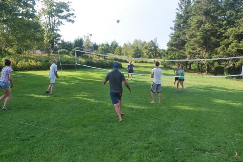 A group of people playing volleyball on a grassy field with trees in the background on a sunny day.