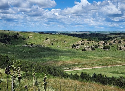 A scenic view of rolling green hills under a blue sky with fluffy clouds, dotted with trees and a dirt path.