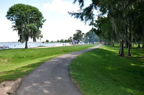 A winding path beside a lake, lined with trees and people enjoying a sunny day outdoors.