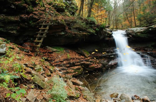 A serene waterfall cascades over rocks, surrounded by autumn foliage and a wooden ladder leading up the hillside.
