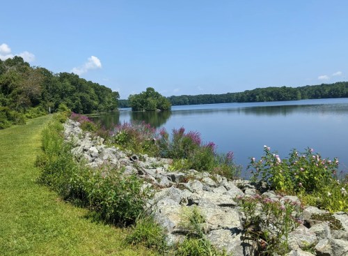 A serene lake view with lush greenery and colorful flowers along a rocky shoreline under a clear blue sky.