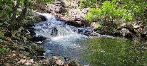 A serene stream flows over rocks, surrounded by lush greenery and trees in a peaceful natural setting.