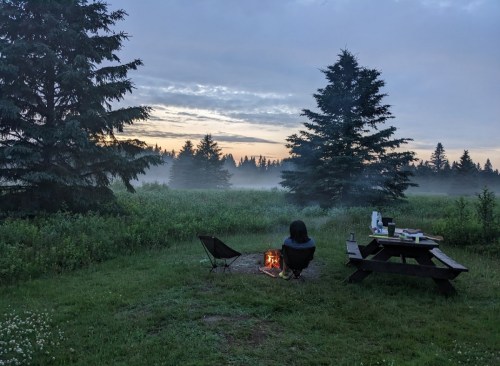 A person sits by a campfire in a misty field, surrounded by trees, with a picnic table nearby at sunrise.