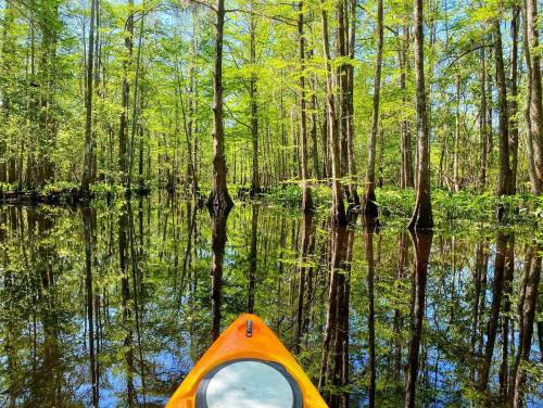 A kayak on calm water surrounded by lush green trees, reflecting beautifully in the still surface.