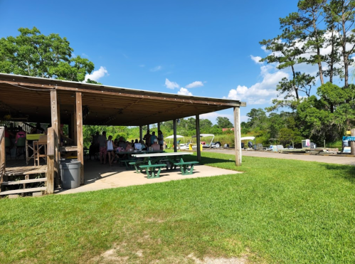 A shaded outdoor pavilion with picnic tables, surrounded by greenery and people enjoying a sunny day.