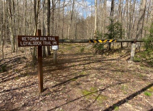 A wooden sign marks the Ketchum Run Trail and Loyalsock Trail, with a barrier across the path in a wooded area.