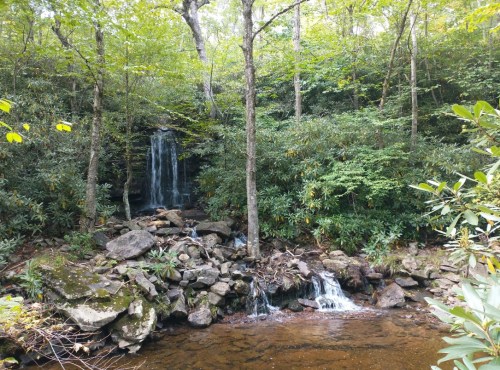 A serene forest scene featuring a waterfall cascading over rocks, surrounded by lush greenery and trees.