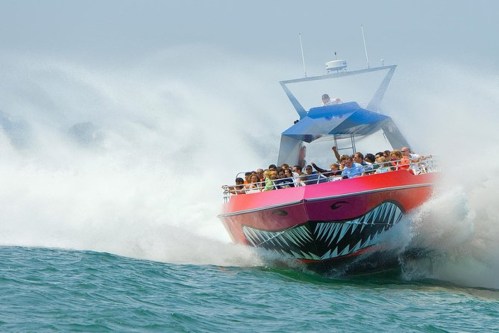 A speedboat with a shark design splashes through waves, carrying excited passengers under a sunny sky.