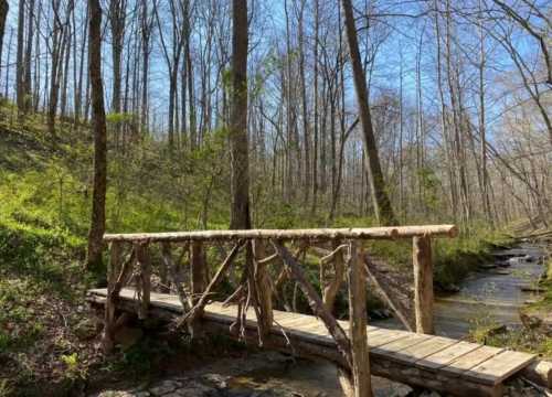 A rustic wooden bridge spans a small stream, surrounded by trees and greenery in a peaceful forest setting.