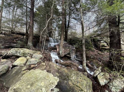 A serene waterfall cascading over rocks, surrounded by trees in a tranquil forest setting.