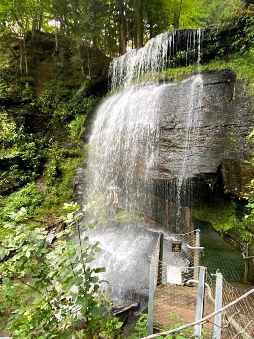 A waterfall cascading over rocky cliffs, surrounded by lush greenery and a misty pool at the base.
