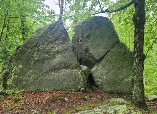 Two large, moss-covered boulders stand amidst lush green trees and foliage in a forested area.