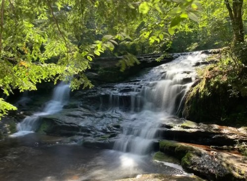 A serene waterfall cascades over rocks, surrounded by lush green foliage and dappled sunlight.