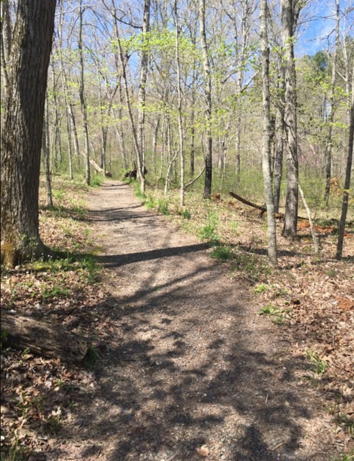 A winding dirt path through a forest with trees and green foliage on a sunny day.