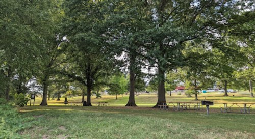 A grassy park area with large trees, picnic tables, and a grill, surrounded by greenery and open space.