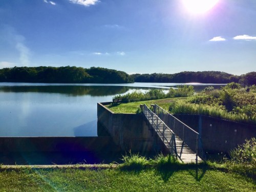 A serene lake view with a wooden ramp, lush greenery, and a bright sun shining in a clear blue sky.