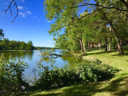 A serene lakeside scene with lush green trees, clear blue skies, and calm water reflecting the landscape.