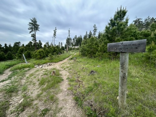 A dirt path leads through a green landscape with pine trees, marked by a wooden sign for trail number 9.