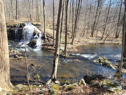A serene forest scene featuring a small waterfall cascading into a clear stream, surrounded by bare trees and rocks.