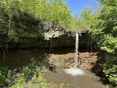 A small waterfall cascades from a rocky ledge into a muddy pool, surrounded by lush green vegetation.