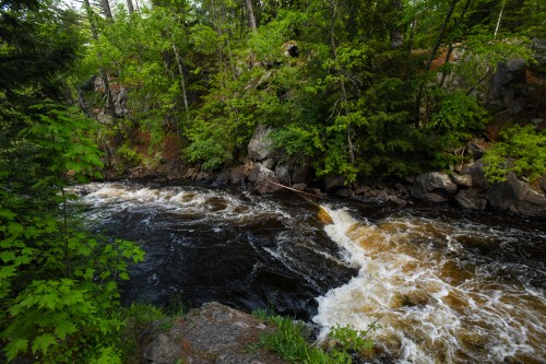 A flowing river surrounded by lush green trees and rocky banks, with white water rapids visible.