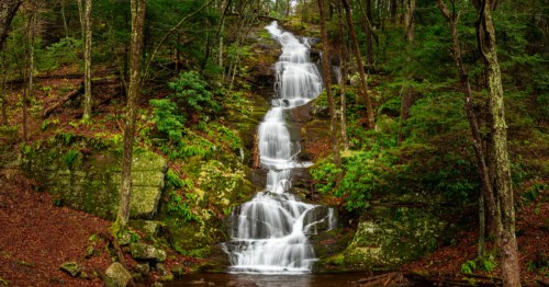 Buttermilk Falls in Stokes State Forest surrounded by lush greenery.