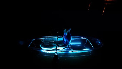 A person sits in a glowing kayak at night, surrounded by dark water and illuminated by blue lights.