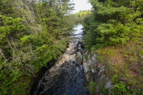 A winding river flows through a lush green forest, surrounded by trees and rocky banks under a clear sky.