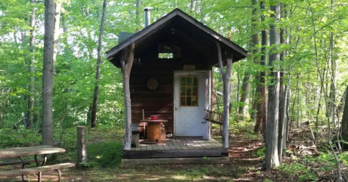 A small wooden cabin surrounded by lush green trees, with a picnic table nearby and a door leading inside.