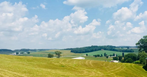A scenic view of rolling green hills under a blue sky with fluffy clouds, featuring farmland and a distant barn.