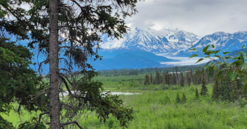 A scenic view of snow-capped mountains behind lush green forests and a calm lake under a cloudy sky.
