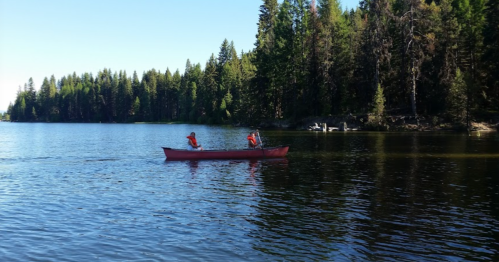 Two people in a red canoe paddle across a calm lake surrounded by tall green trees.