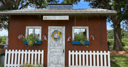 A rustic farm shed with a white picket fence, decorated with sunflowers and American flags, welcoming visitors.