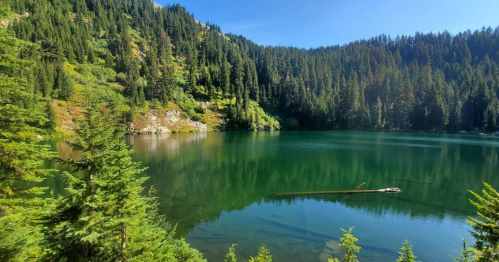 A serene lake surrounded by lush green trees and mountains under a clear blue sky.