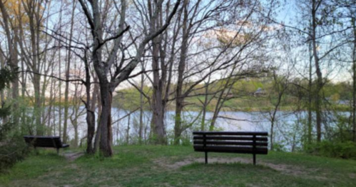 A serene park scene with two benches facing a calm lake, surrounded by trees and greenery.