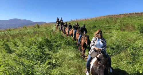 A group of people riding horses along a grassy trail with mountains in the background under a clear blue sky.