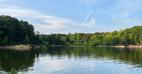 A serene lake surrounded by lush green trees under a clear blue sky. Reflections shimmer on the water's surface.