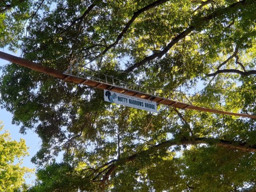 Sign for "Nutty Narrows Bridge" hanging between trees, with sunlight filtering through the leaves above.