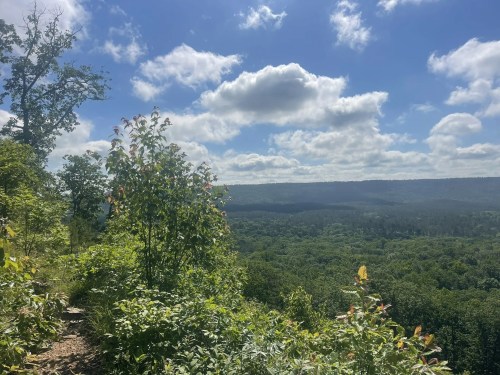 A scenic view of lush green hills under a partly cloudy blue sky, with trees in the foreground.